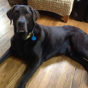 Meet your Posher, Patti